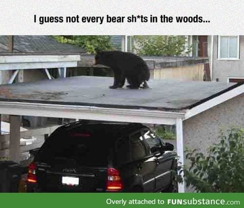 Nature keeps surprising me