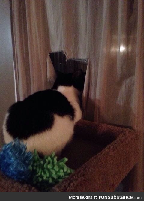 A friend forgot to open her curtains