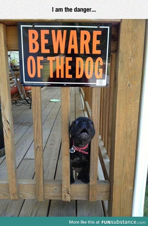 I'm The One Who Barks