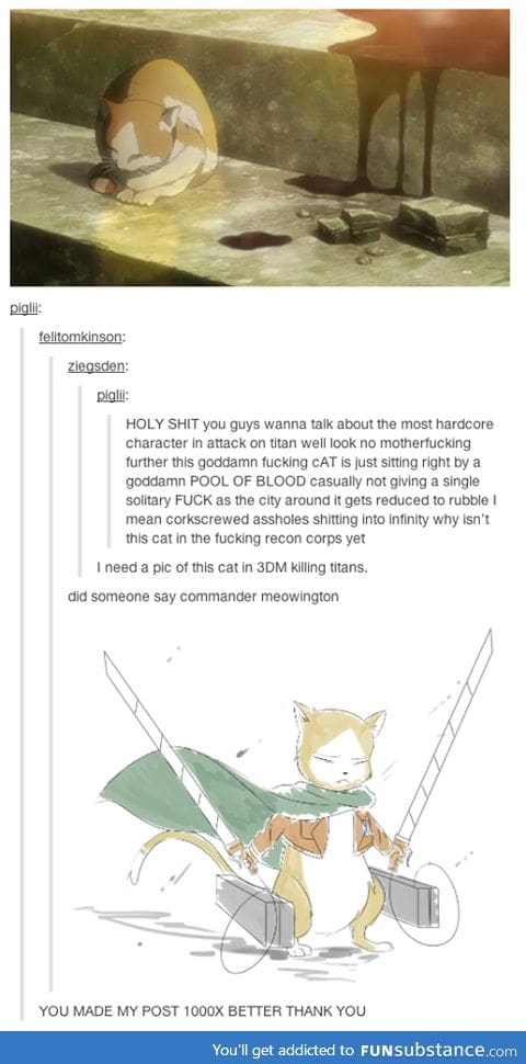 Commander Meowington