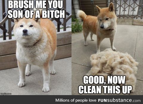 Much hair, less doge, wow