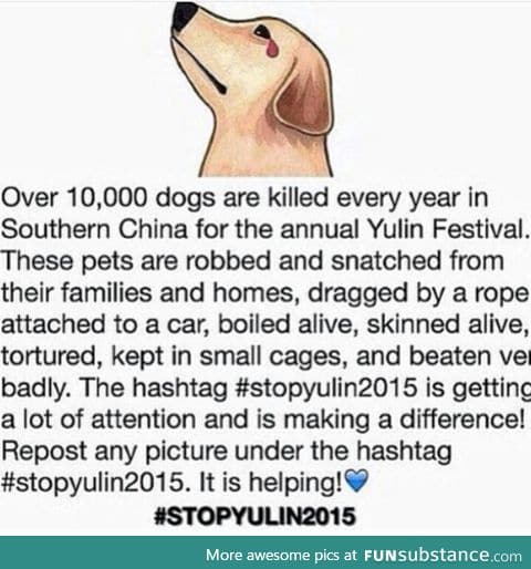 Poor dogs #stopyulin2015 :(