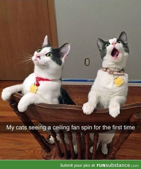 THIS IS SO CUTE
