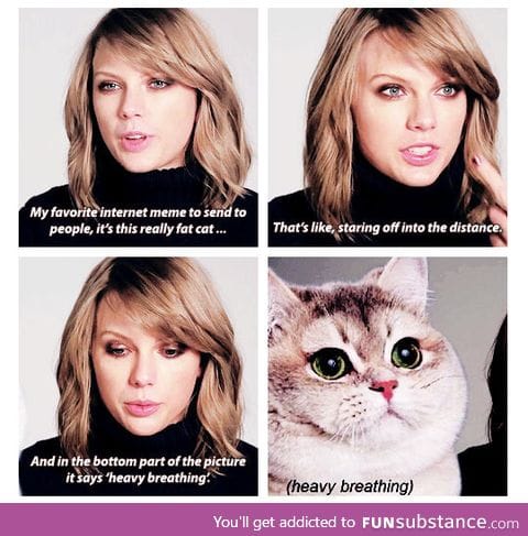Taylor Swift's favorite meme is the heavy breathing cat