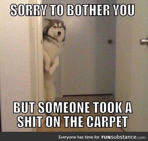 Sorry bro