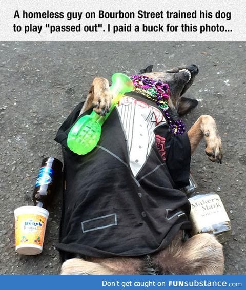 The drunk dog trick