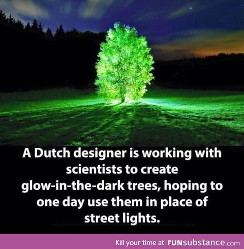 Glow in the dark trees