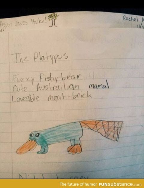 Caring block of platypus