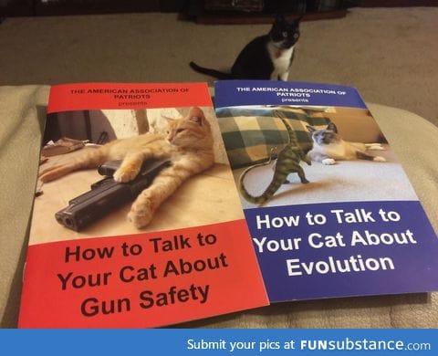 Time to educate my cats!