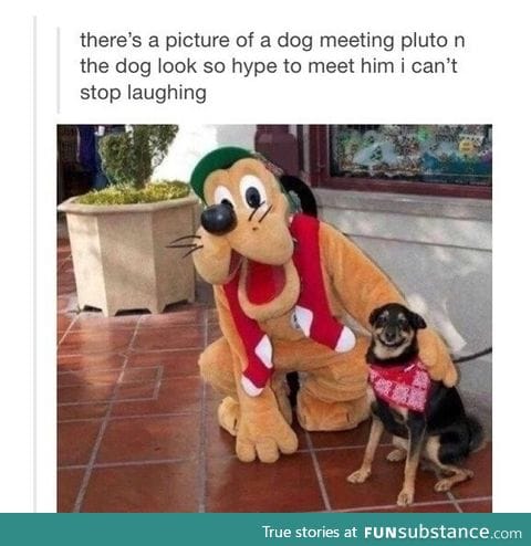 Face of joy