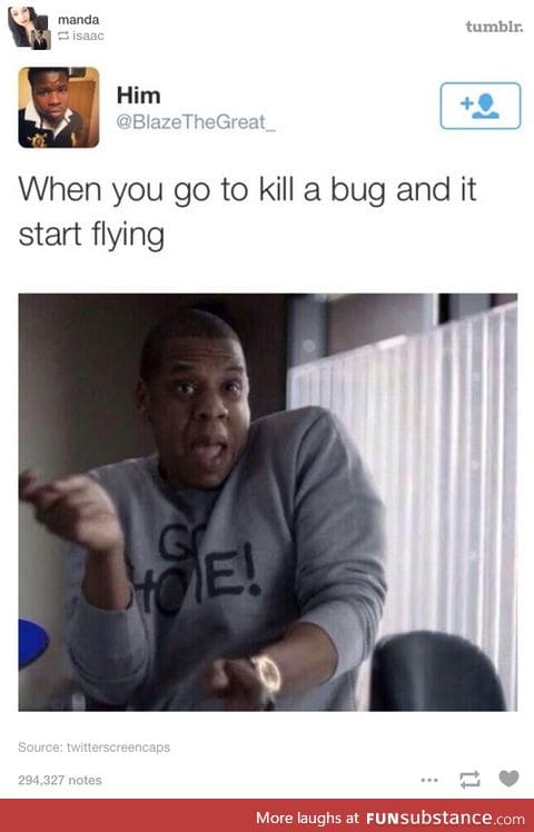 When it starts flying