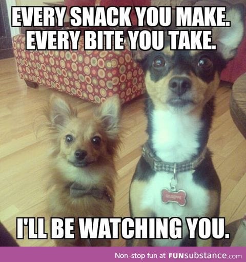 I always seem to have an audience