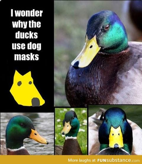 You will never look at them the same way again