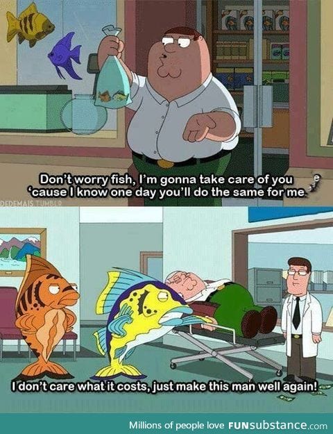 Family guy