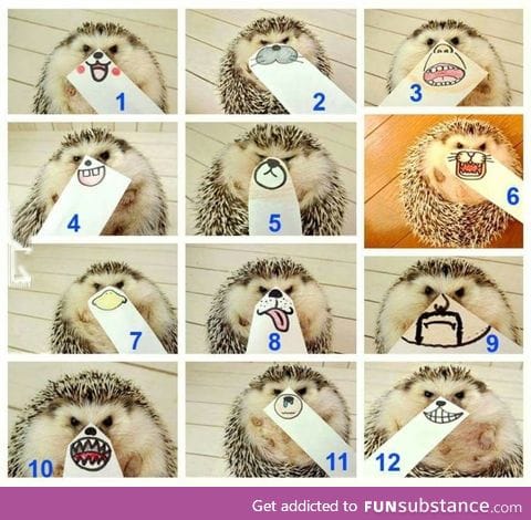 What is your mood?
