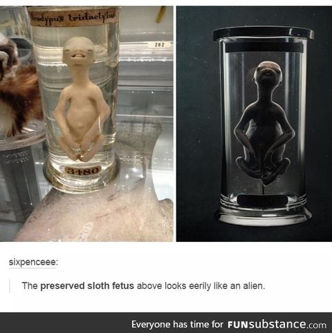*x files intro plays*