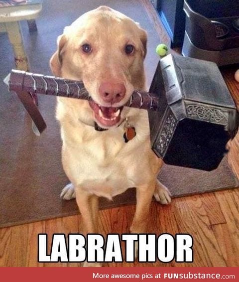 Thor's pet