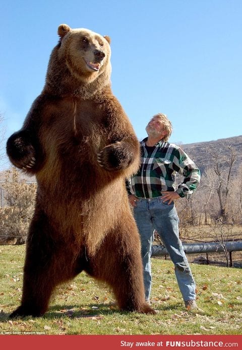 Doug Seus and the Bear he has cared for since he was young