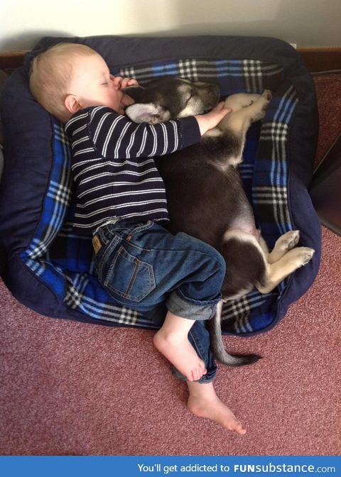 Who needs a $200 crib, when you can buy a $20 dog bed?