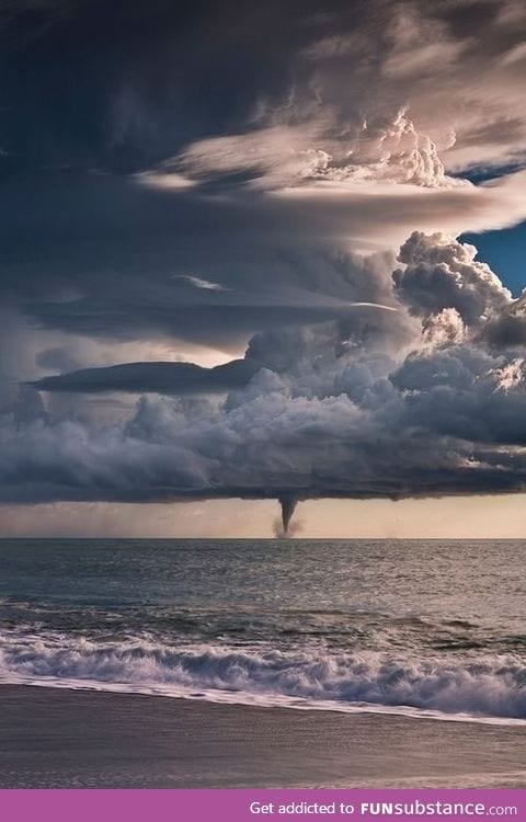 Just nature being incredible