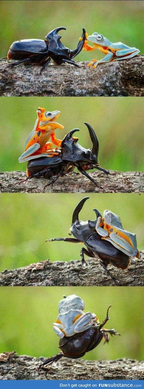 Run my friend run