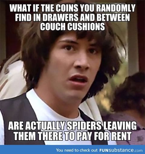 I thin the spiders are trying to be good tenants