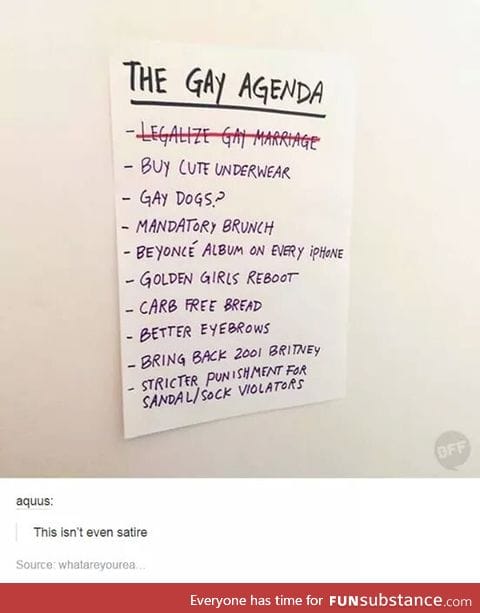 The Gay Agenda