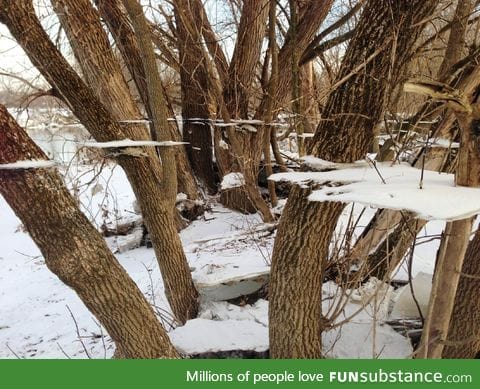 Cool ice effect after flood