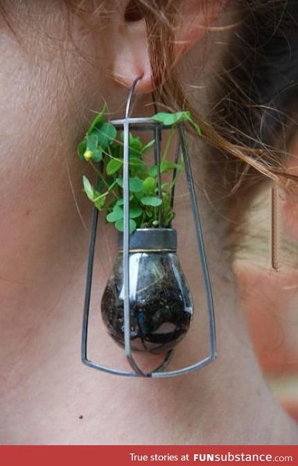Using a plant as an earing