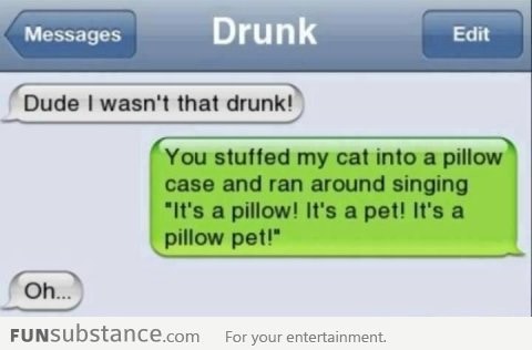 A Pillow Pet