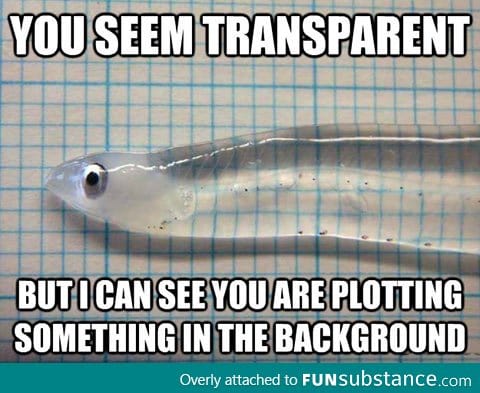 Transparent fish