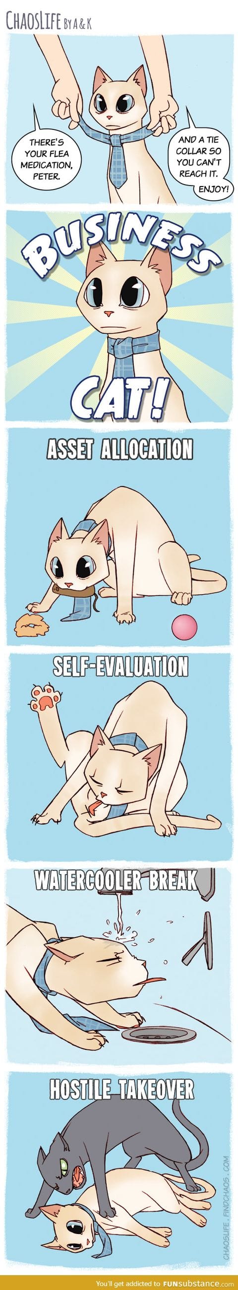 Business Cat