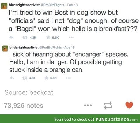 Birdsrightactivist