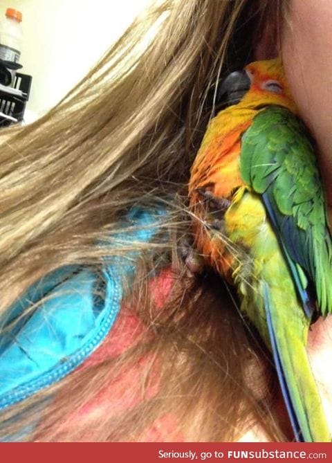 A bird fell asleep in her hair