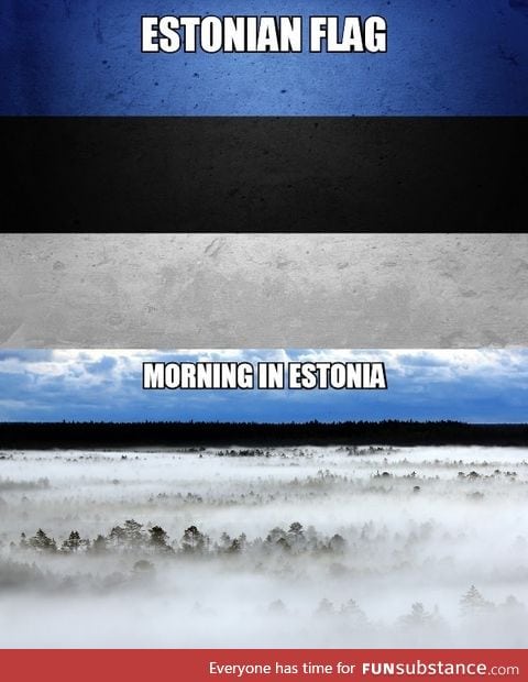 How the Estonian flag came about