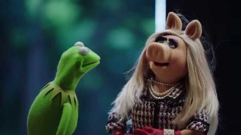 The muppets are making a show like, "the office"