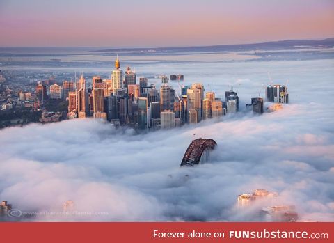 Sydney, Australia, covered in a thick winter fog