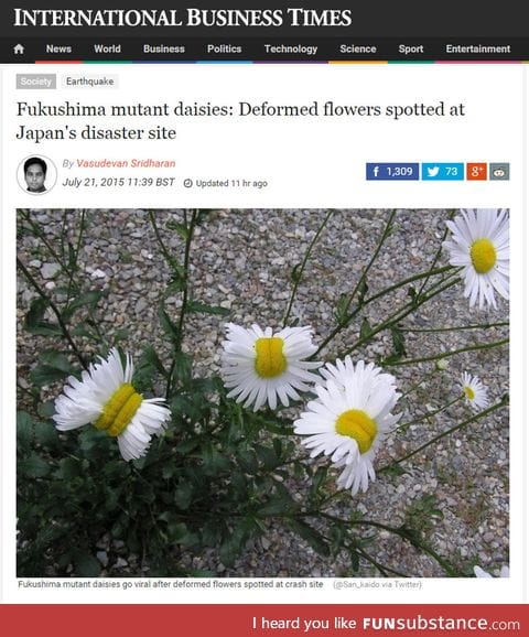 Mutated flowers at Fukushima