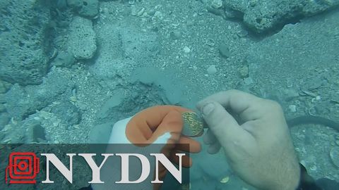 Diver finds $1,000,000 worth of gold coins off Florida coast