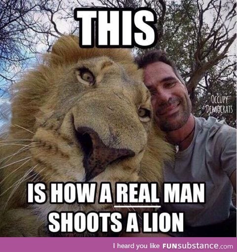 How to properly shoot a lion