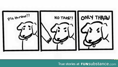 Dog logic