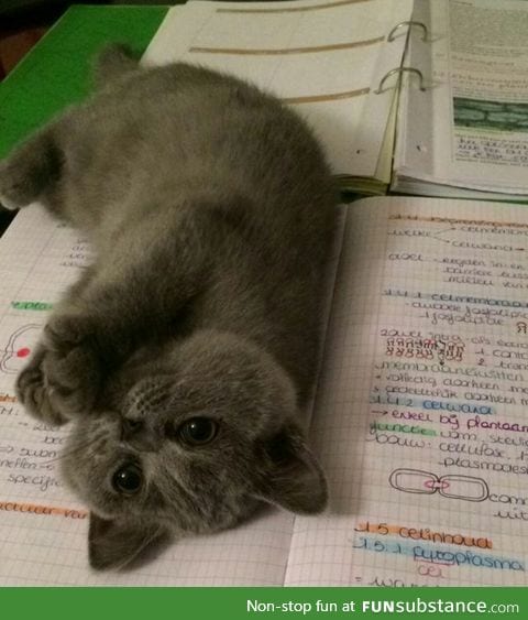 "I will teach you all you need to know."
