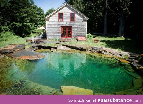 Natural stone organic pool