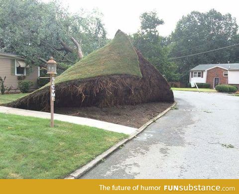Apparently theres now Extreme Gardening...Who Knew?