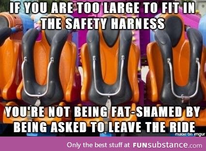 For public safety, not fat shaming