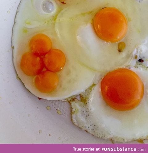 That quad-yolker