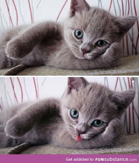 Hey you
