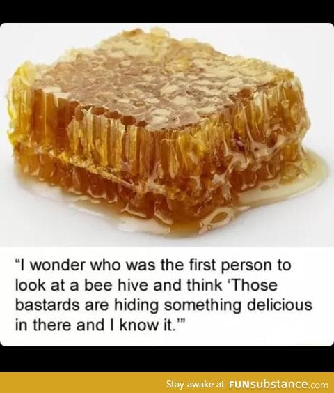 How did they discover honey?