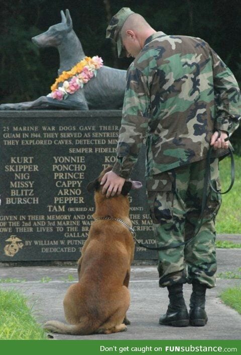 Showing respect to fallen companions