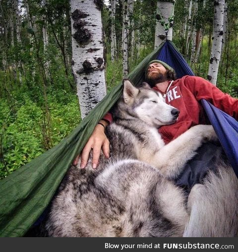 Life goals
